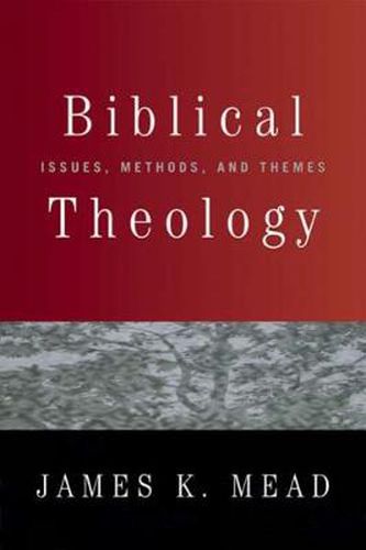 Cover image for Biblical Theology: Issues, Methods, and Themes