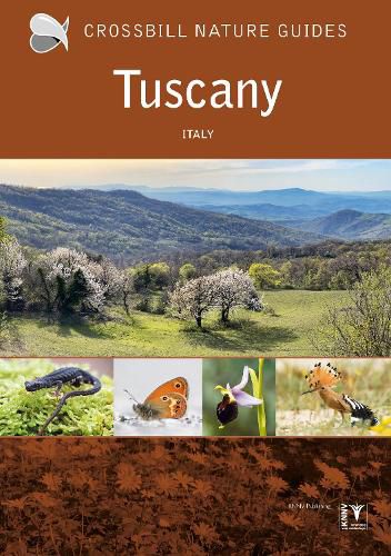 Cover image for Tuscany