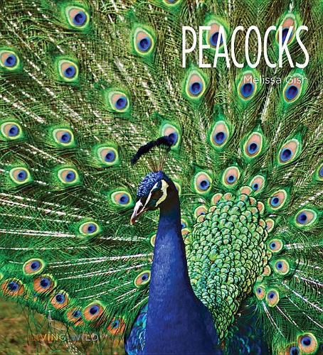 Cover image for Peacocks