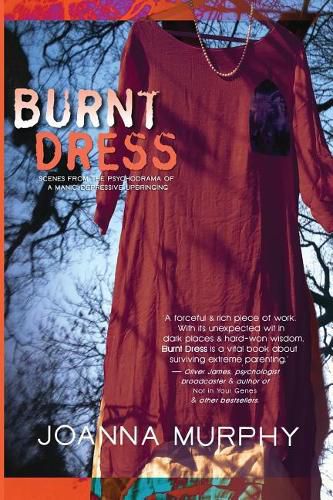 Cover image for Burnt Dress