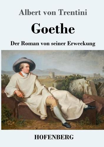 Cover image for Goethe: Der Roman von seiner Erweckung