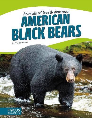 Cover image for Animals of North America: American Black Bears