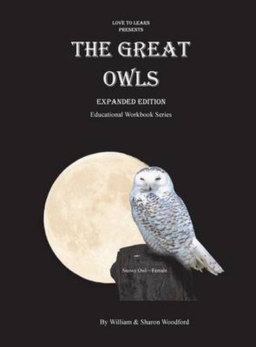 Cover image for The Great Owls: Educational Workbook Series