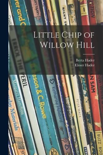 Cover image for Little Chip of Willow Hill