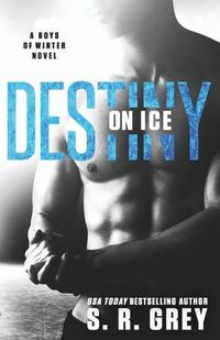 Cover image for Destiny on Ice: Boys of Winter #1