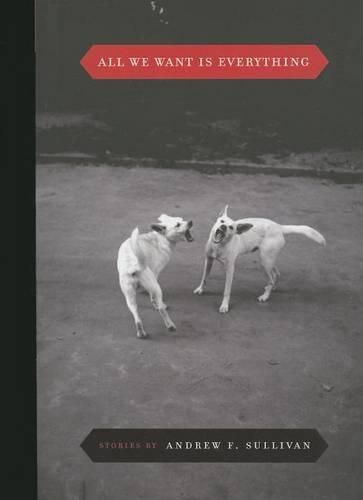 Cover image for All We Want Is Everything