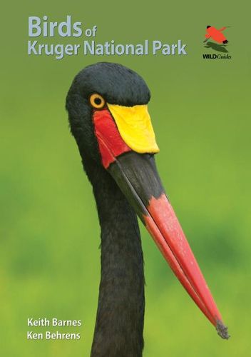 Cover image for Birds of Kruger National Park