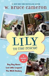 Cover image for Lily to the Rescue Bind-Up Books 4-6: Dog Dog Goose, Lost Little Leopard, and the Misfit Donkey