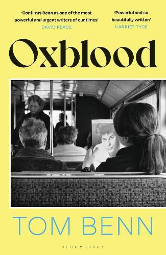 Cover image for Oxblood: 'An absolute triumph' - GUARDIAN