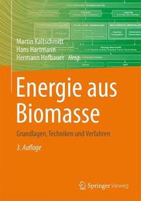 Cover image for Energie aus Biomasse: Grundlagen, Techniken und Verfahren