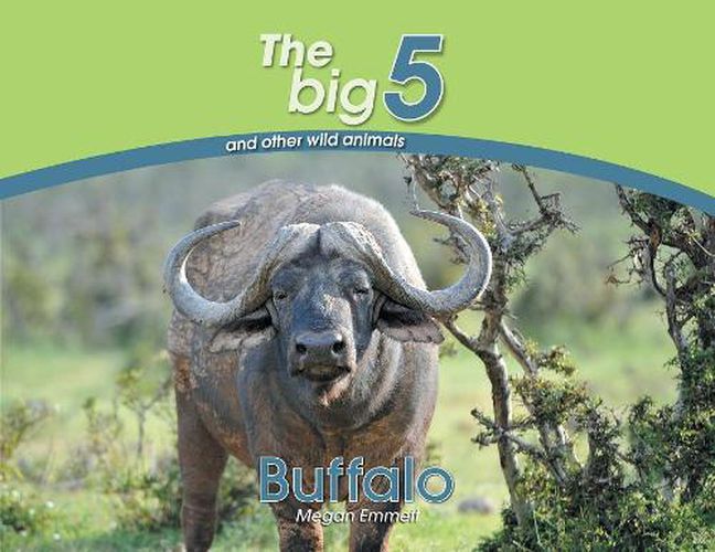 Cover image for Buffalo: The Big 5 and other wild animals