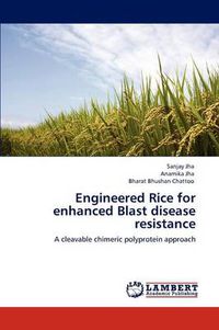 Cover image for Engineered Rice for enhanced Blast disease resistance