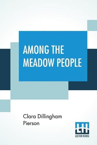 Cover image for Among The Meadow People