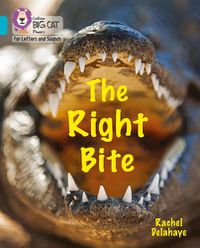 Cover image for The Right Bite: Band 07/Turquoise