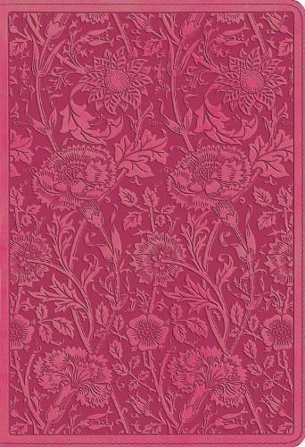 Cover image for ESV Student Study Bible