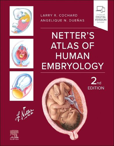 Cover image for Netter's Atlas of Human Embryology