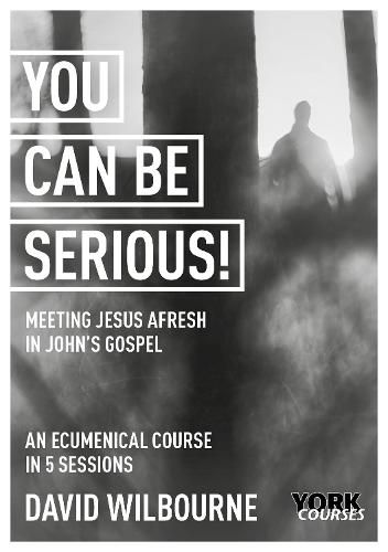 Cover image for You Can Be Serious! Meeting Jesus afresh in John's Gospel