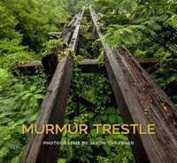 Cover image for Murmur Trestle