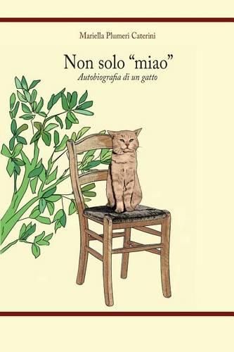 Cover image for Non Solo  Miao: Autobiografia Di Un Gatto