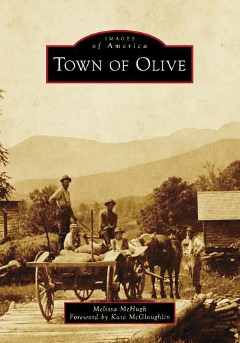 Cover image for Town of Olive