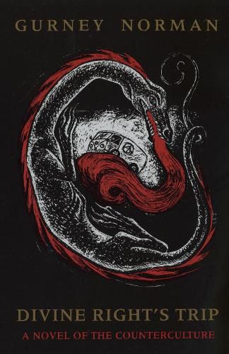 Cover image for Divine Right's Trip: A Novel of the Counterculture