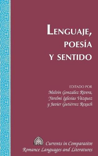 Cover image for Lenguaje, Poesia Y Sentido