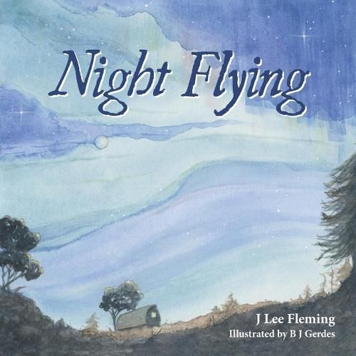 Cover image for Night Flying