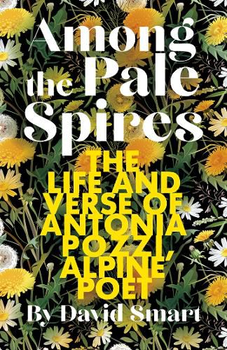 Cover image for Among the Pale Spires