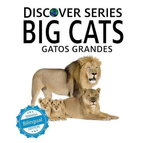 Cover image for Gatos Grandes/Big Cats