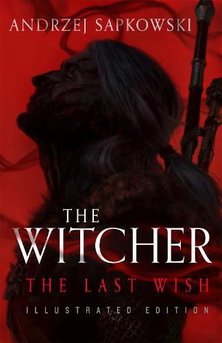 Cover image for The Last Wish: Introducing the Witcher - Now a major Netflix show