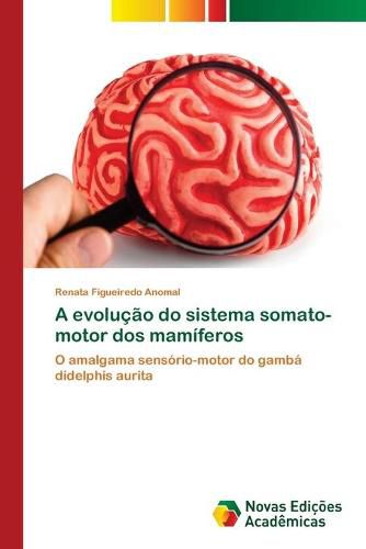 A evolucao do sistema somato-motor dos mamiferos