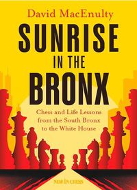 Cover image for Sunrise in the Bronx