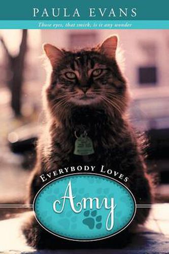 Cover image for Everybody Loves Amy