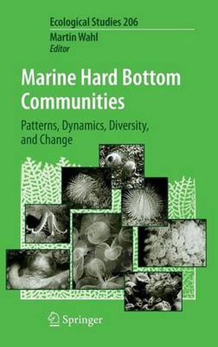 Cover image for Marine Hard Bottom Communities: Patterns, Dynamics, Diversity, and Change