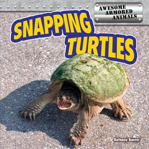 Cover image for Snapping Turtles