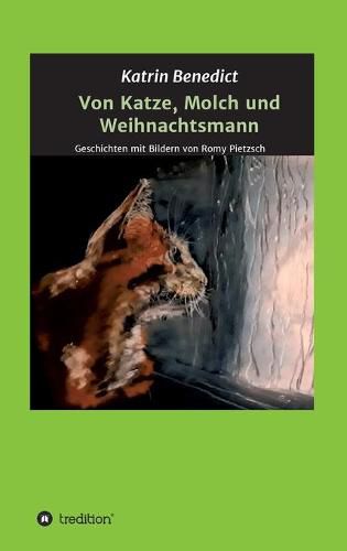 Cover image for Von Katze, Molch und Weihnachtsmann: Geschichten mit Bildern von Romy Pietzsch