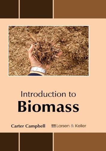 Cover image for Introduction to Biomass