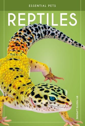 Cover image for Reptiles