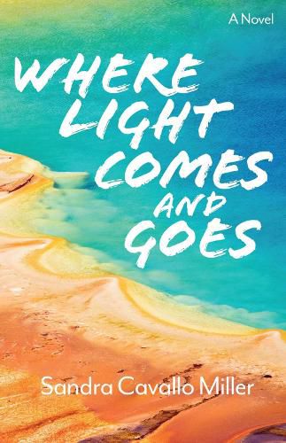 Cover image for Where Light Comes and Goes: A Novel