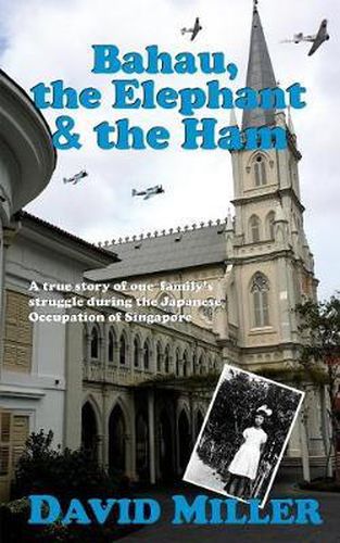 Cover image for Bahau, the Elephant & the Ham