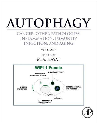 Cover image for Autophagy: Cancer, Other Pathologies, Inflammation, Immunity, Infection, and Aging: Volume 7Role of Autophagy in Therapeutic Applications