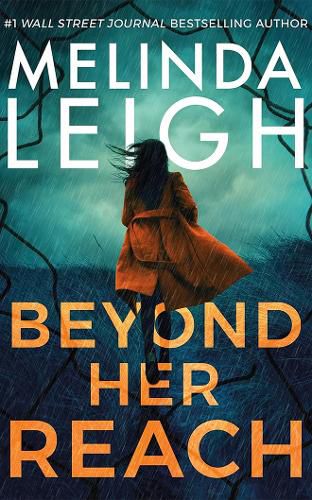 Cover image for Beyond Her Reach