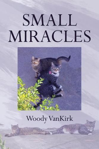 Cover image for Small Miracles