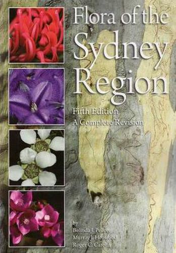 Cover image for Flora of the Sydney Region: Fifth Edition