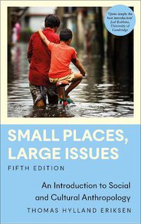 Cover image for Small Places, Large Issues