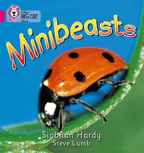 Cover image for Minibeasts: Band 01a/Pink a