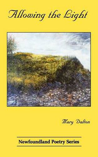 Cover image for Allowing the Light