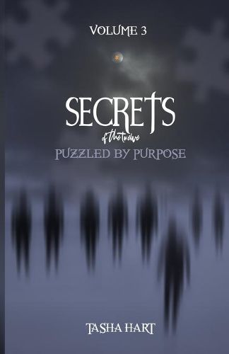 Cover image for Secrets of the Twelve