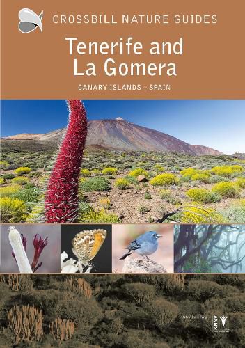 Cover image for Tenerife and La Gomera