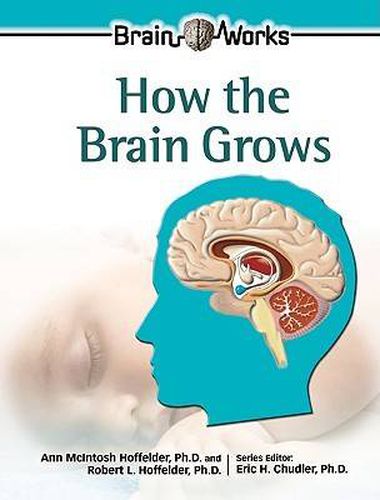 Cover image for How the Brain Grows